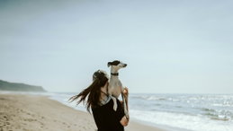 As 5 coisas incríveis que o seu cão consegue perceber sobre si