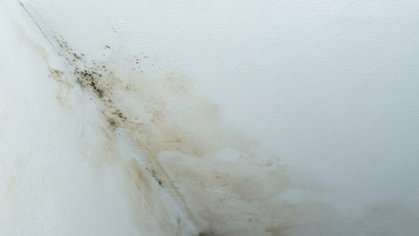 Bolor no quarto volta todos os anos. Este é o erro que pode estar a cometer