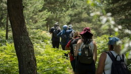 É melhor caminhar de manhã ou à tarde? A ciência tem uma resposta surpreendente