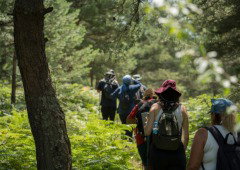 É melhor caminhar de manhã ou à tarde? A ciência tem uma resposta surpreendente
